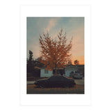 Autumn tree (Print Only) thumbnail