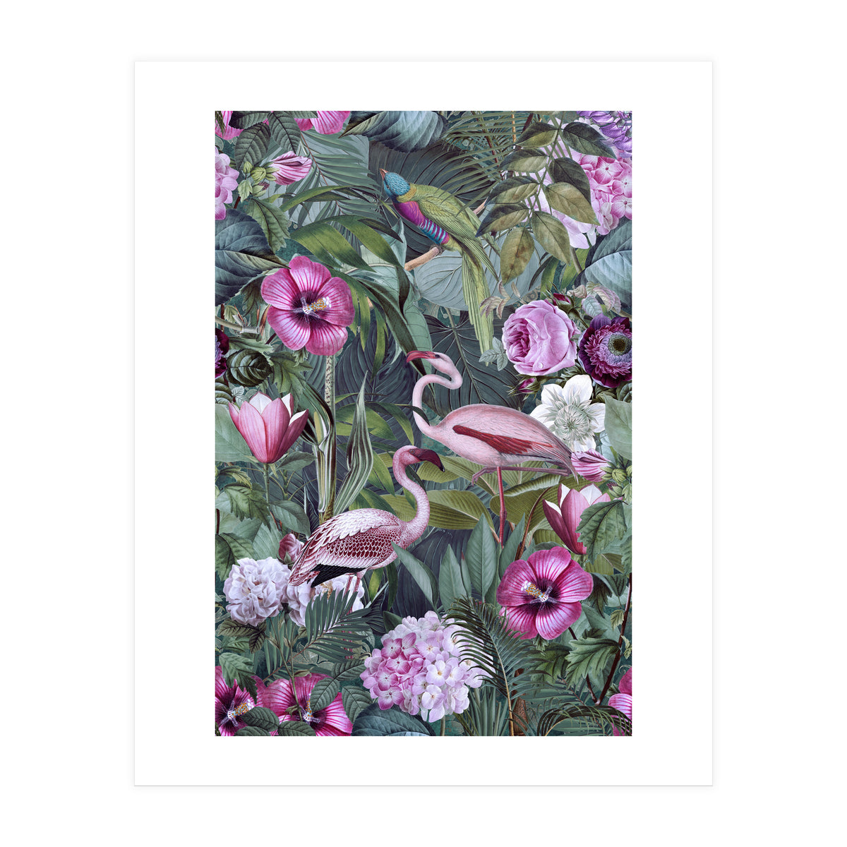Flamingos 3 (Print Only)