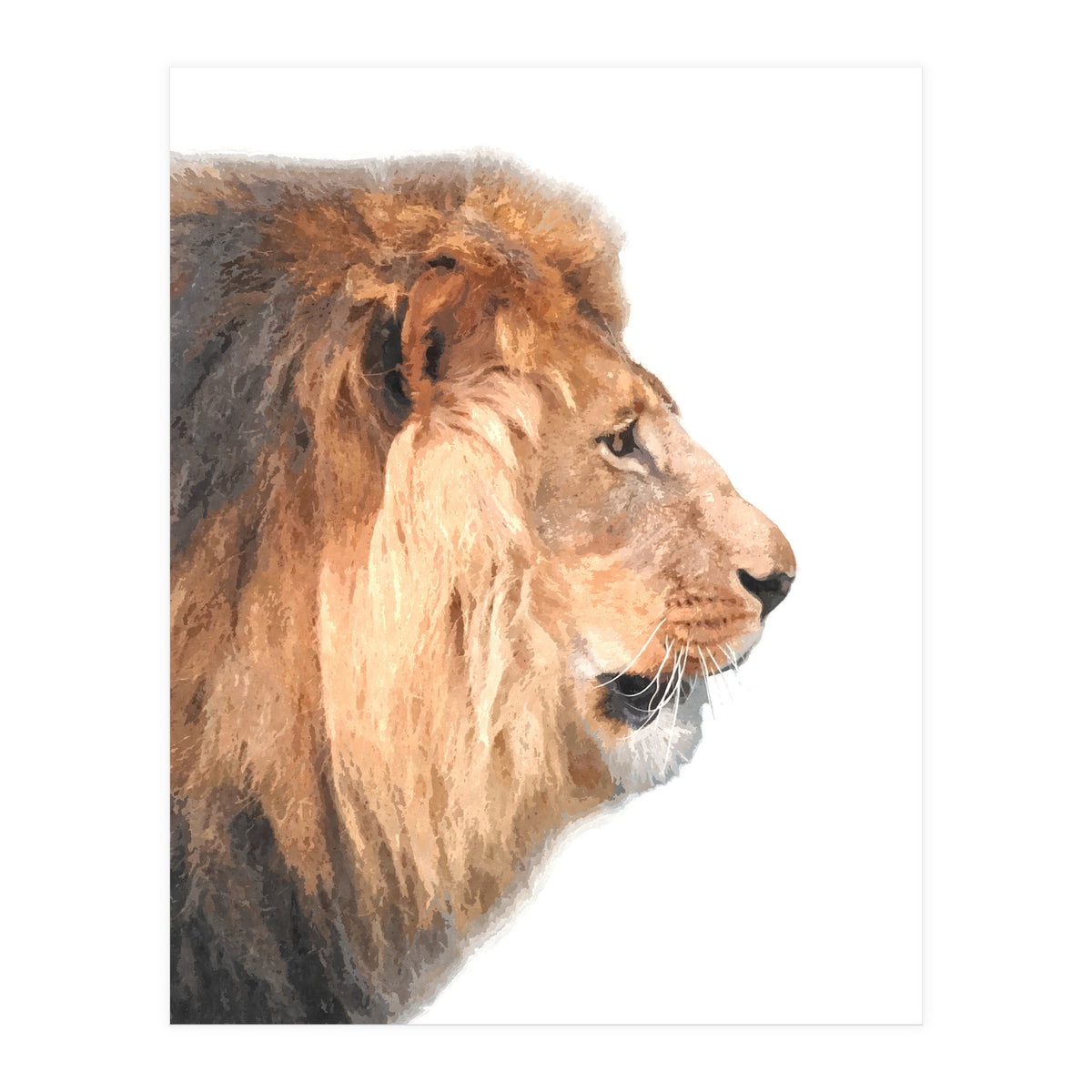Lion Profile (Print Only)