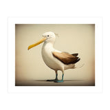 Albatross Illustration (Print Only) thumbnail