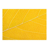 Autumn Leaf (Print Only) thumbnail
