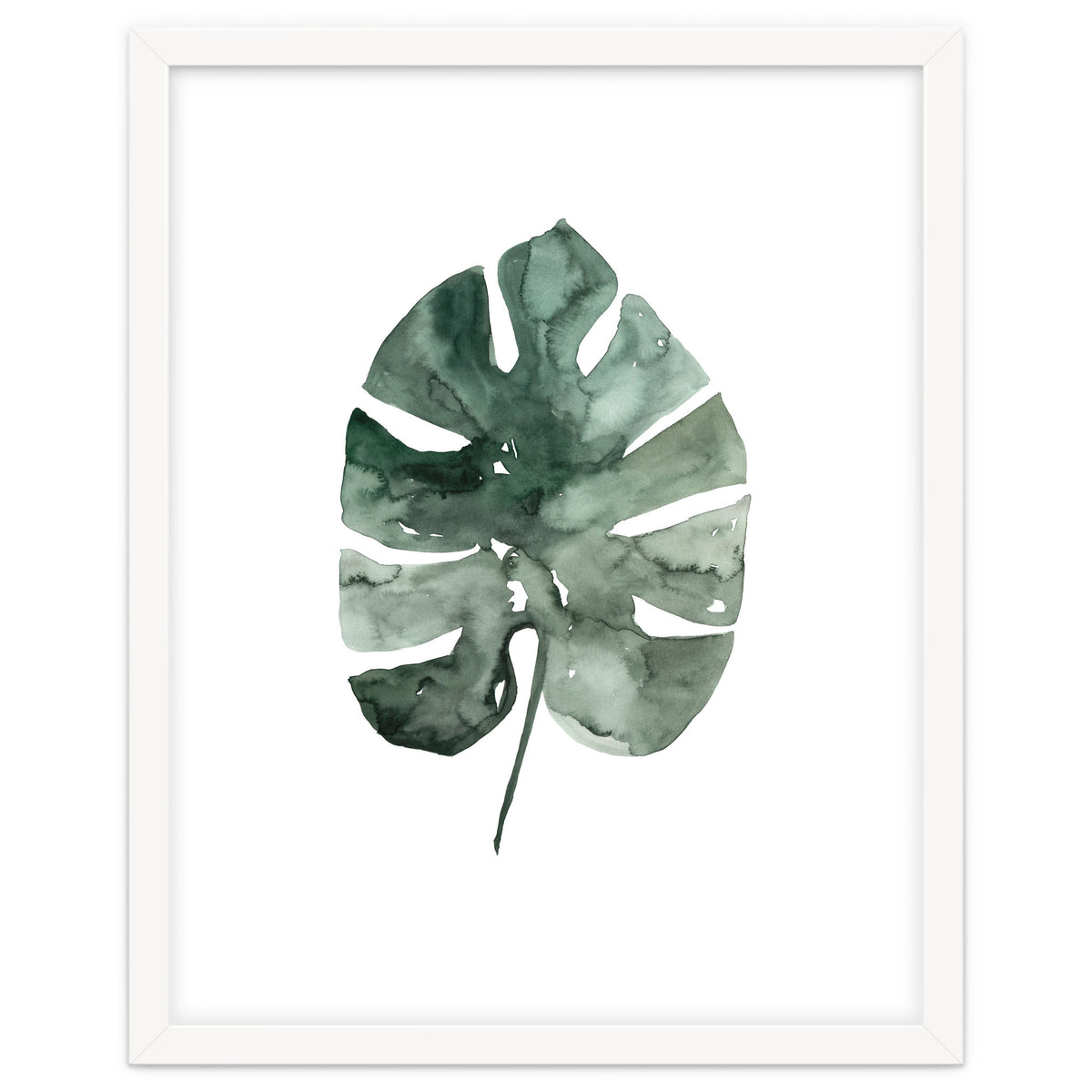 Botanical Illustration Monstera Leaf