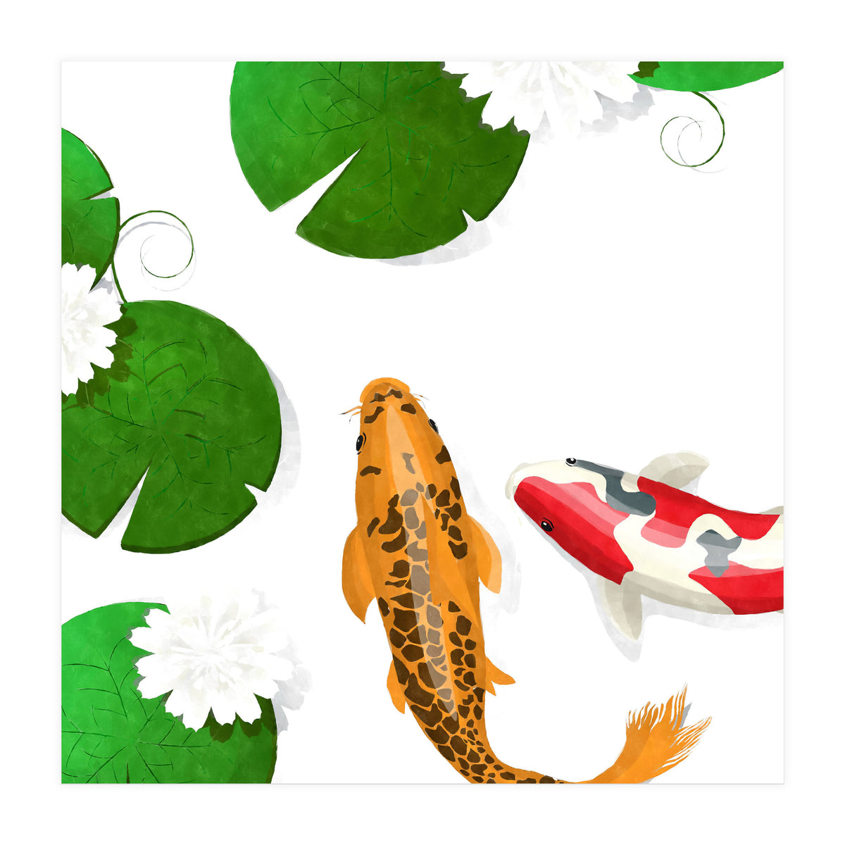 Koi fish background (Print Only)