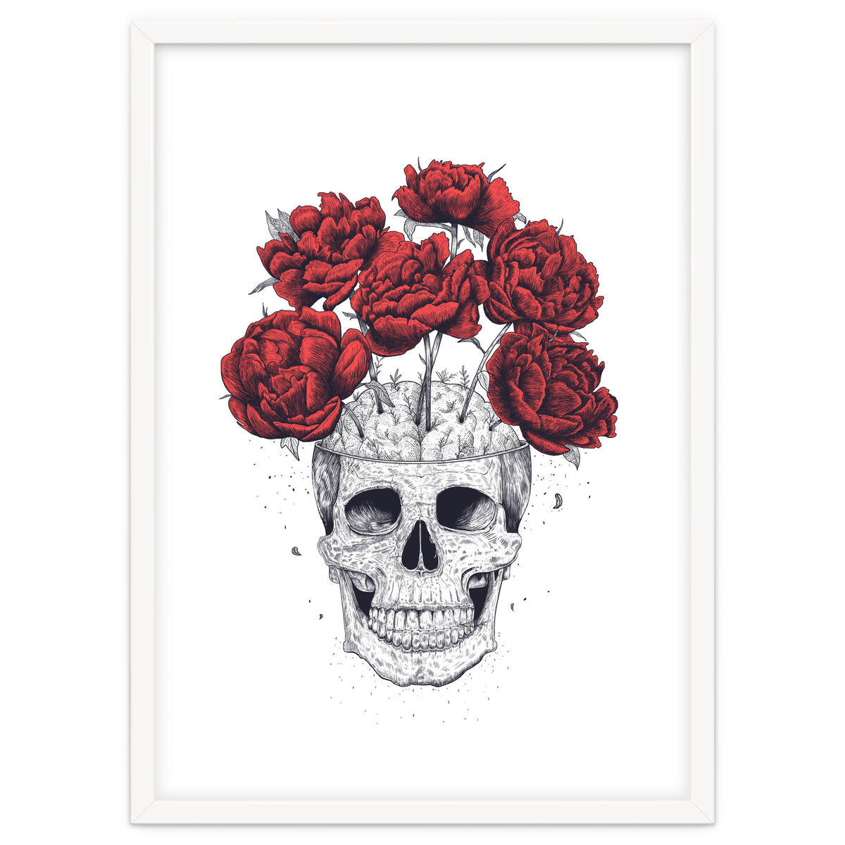 Skull With Peonies