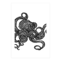 Barnacle Octopus (Print Only)