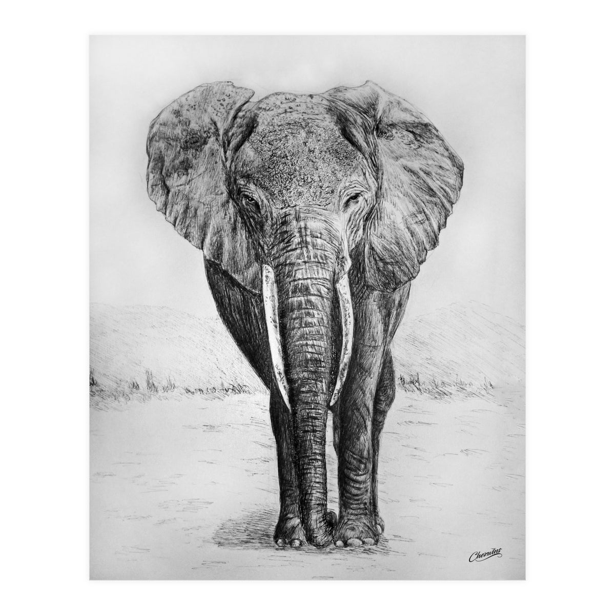 The Long Journey (Print Only)