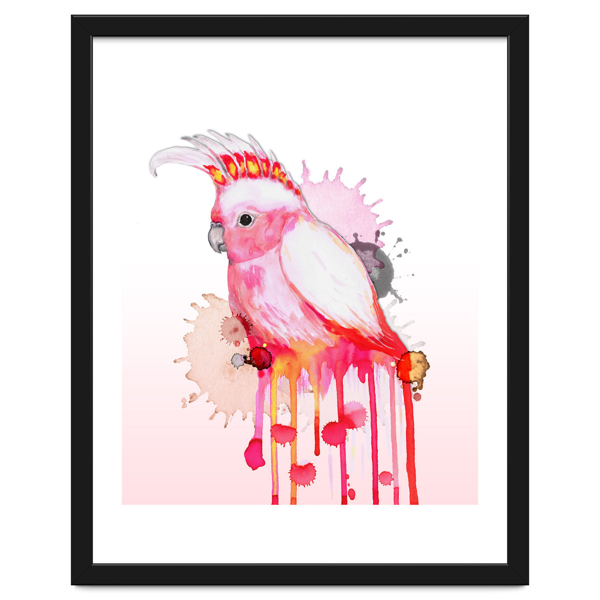 Major Mitchell's cockatoo