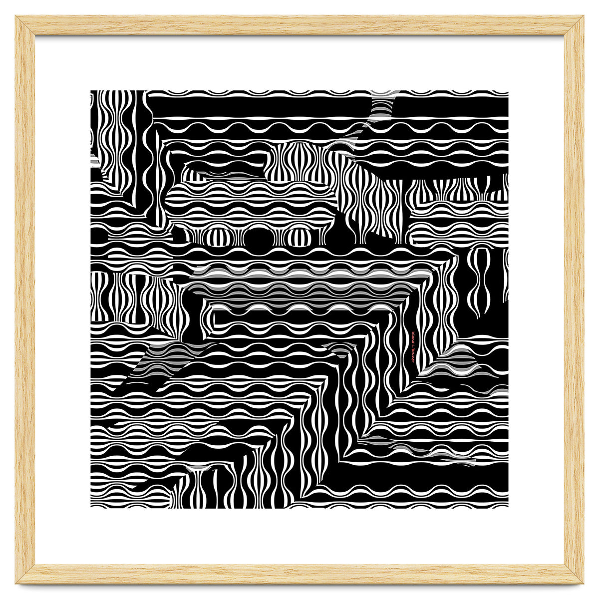 BLACK AND WHITE EXOTIC