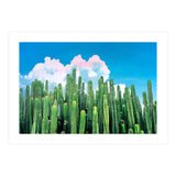 Cactus Summer (Print Only) thumbnail