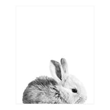 Black and White Bunny Portrait (Print Only) thumbnail