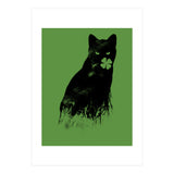 Ambivalence (Print Only) thumbnail