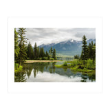 Nature (Print Only) thumbnail