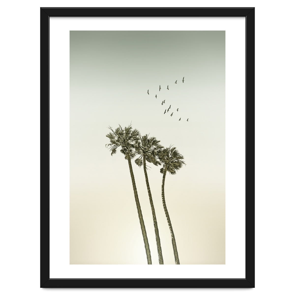 Vintage palm trees at sunset