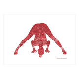 Prasarita Padottanasana in Red (Print Only) thumbnail