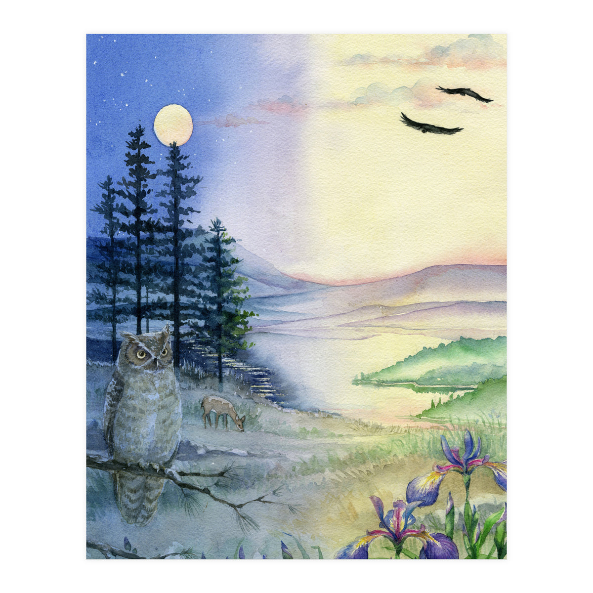 Owl & Twilight (Print Only)