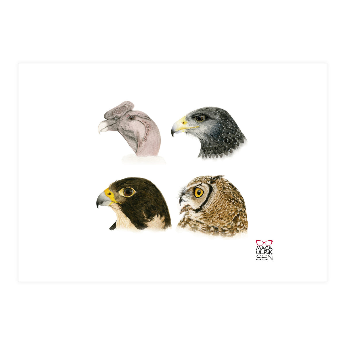 Profile raptors (Print Only)