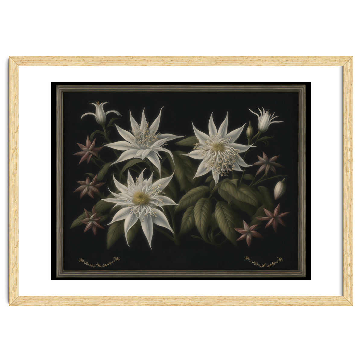 Edelweiss Vintage Illustration
