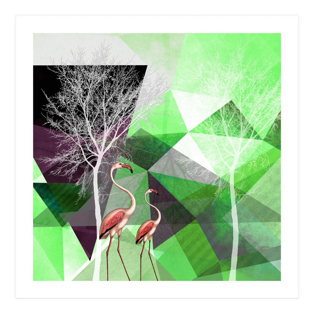 FLAMINGOS P21  (Print Only)