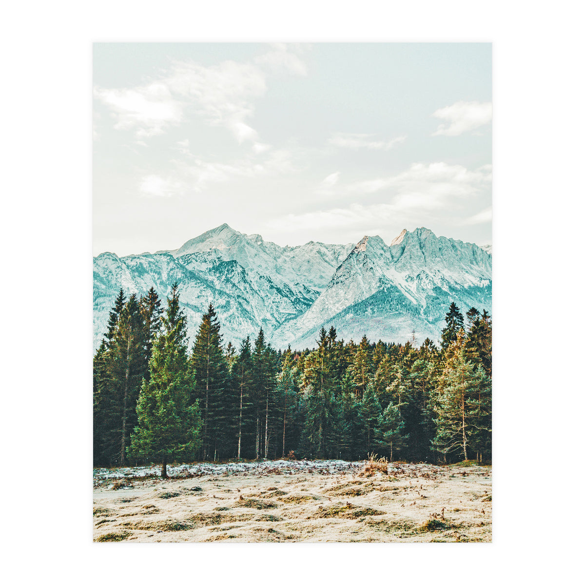 Winter Weather (Print Only)