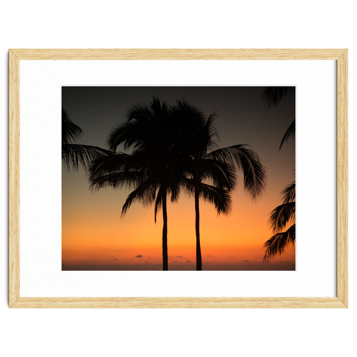 Mexico, November nights