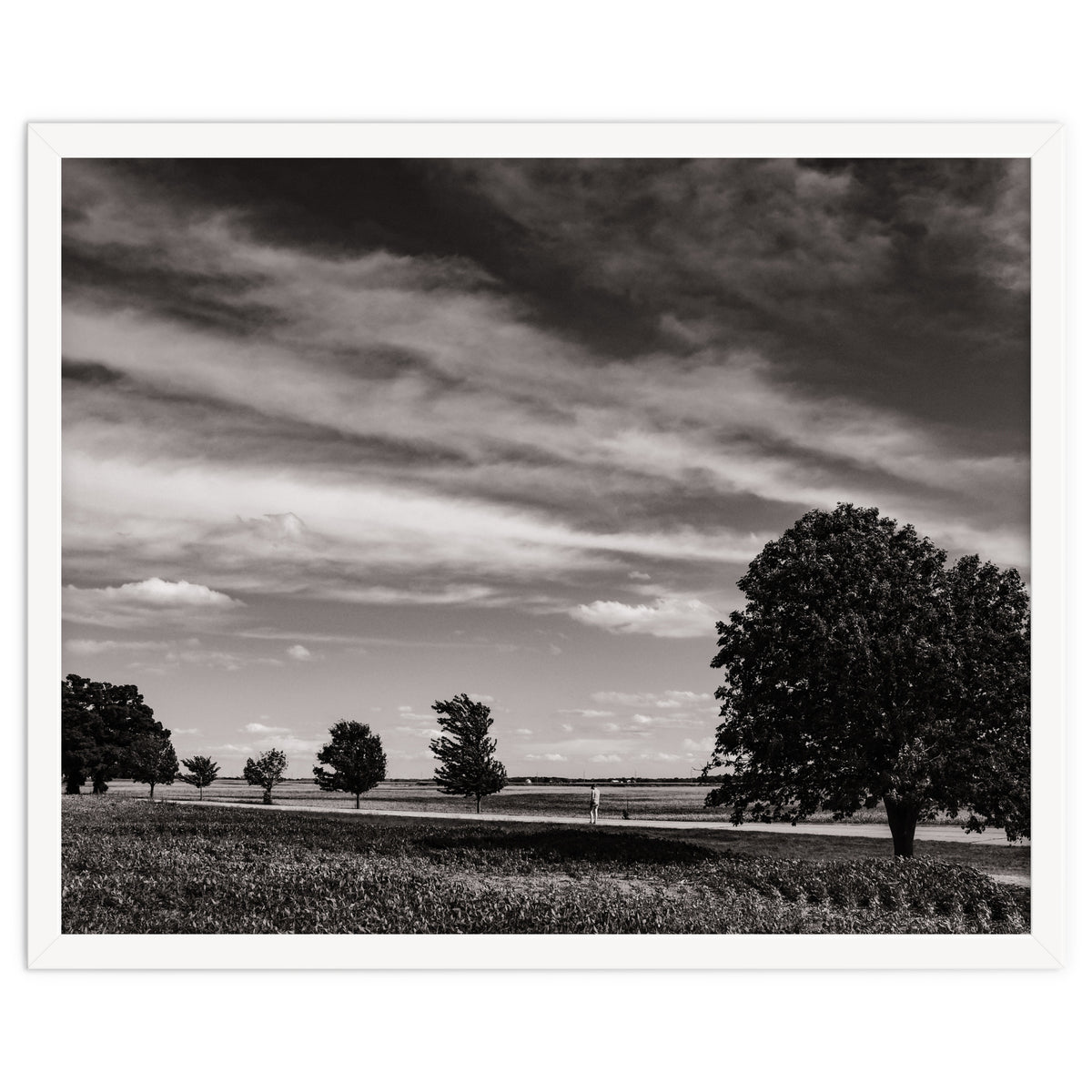 Country Road, Illinois