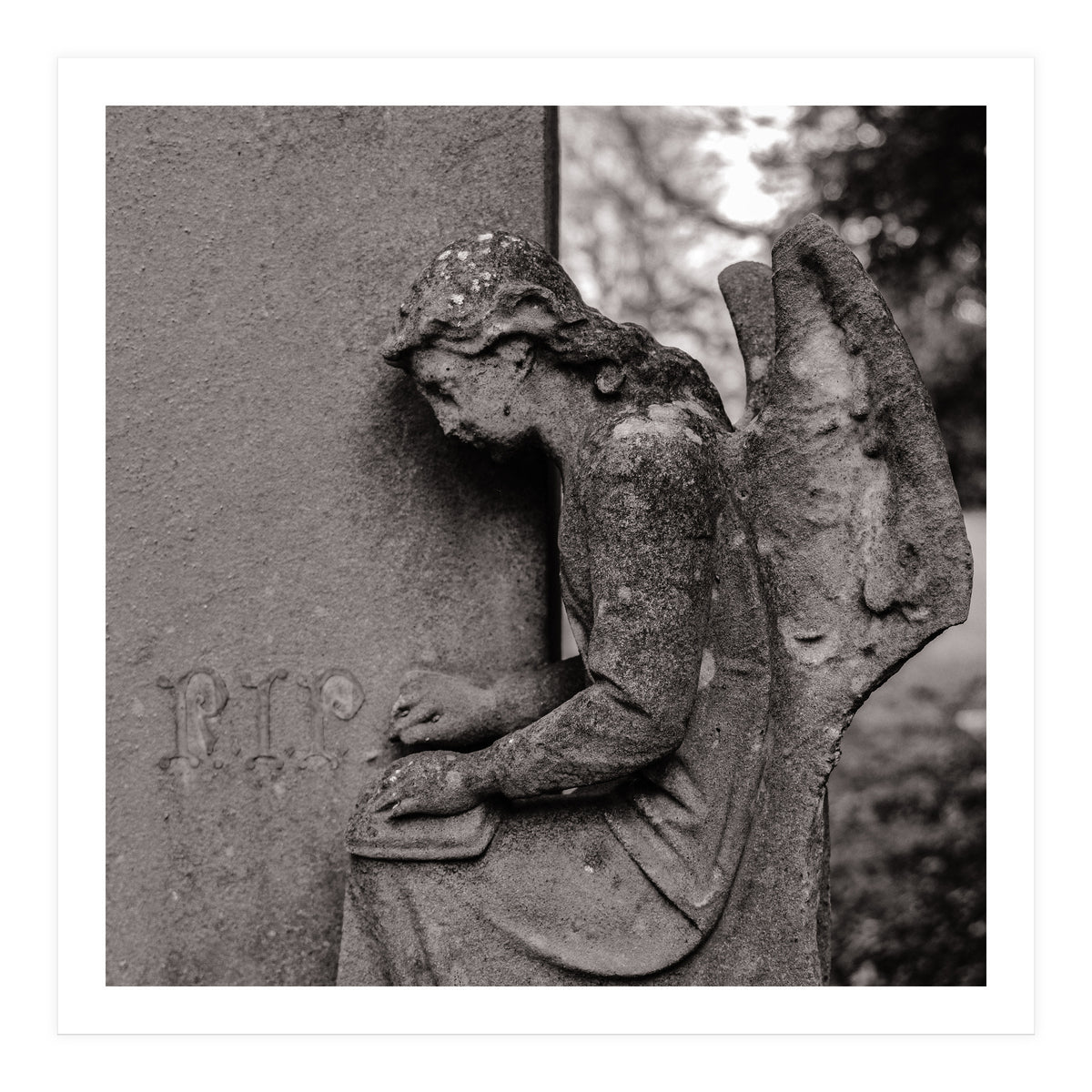 Rest in Peace (Print Only)