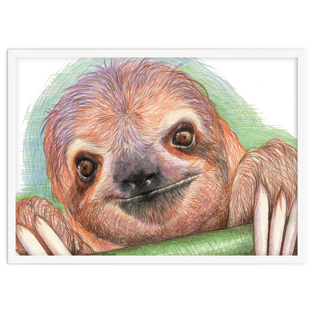 Smiling Sloth