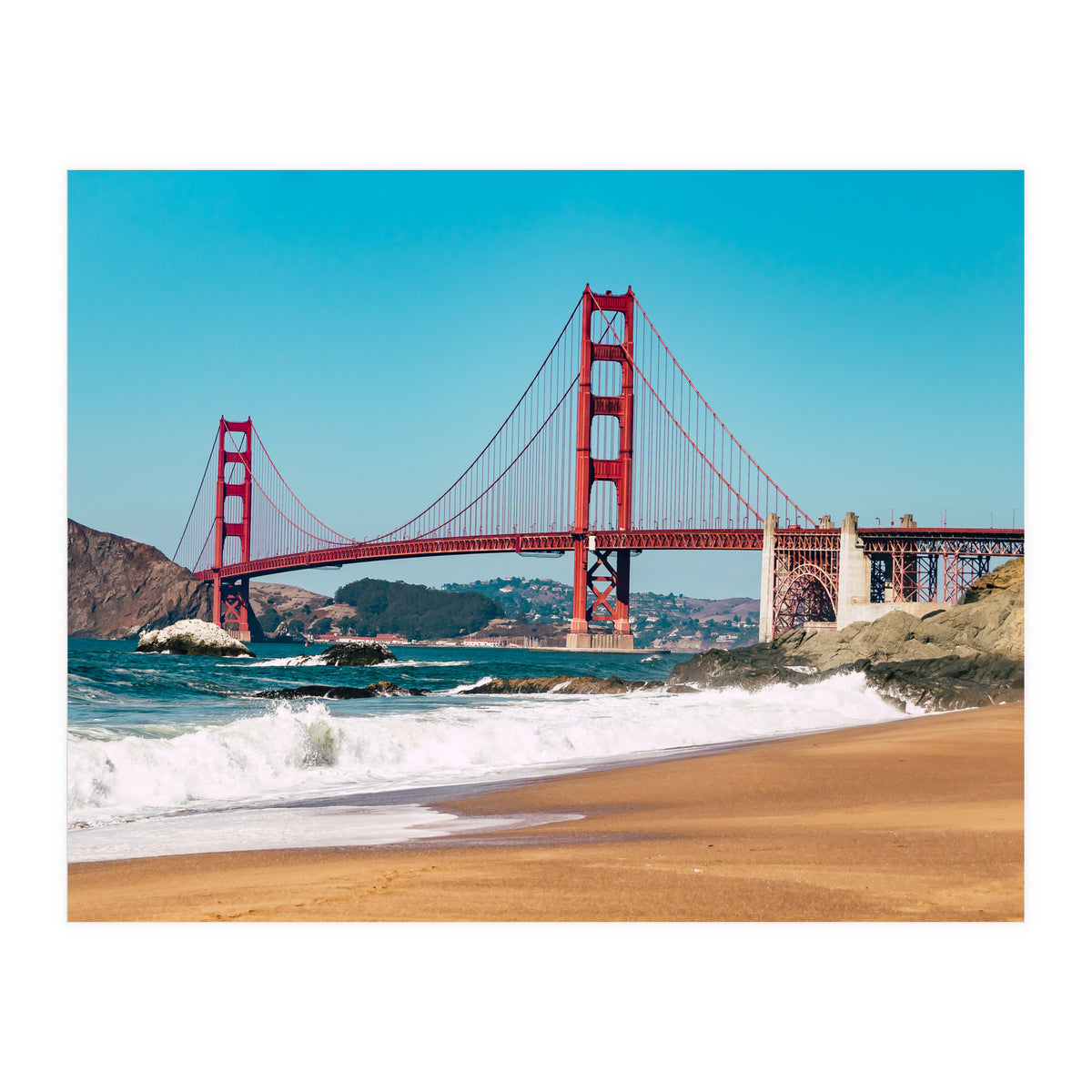 Amaranth (Print Only)