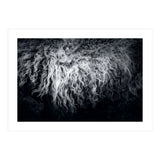 the sheep (Print Only) thumbnail
