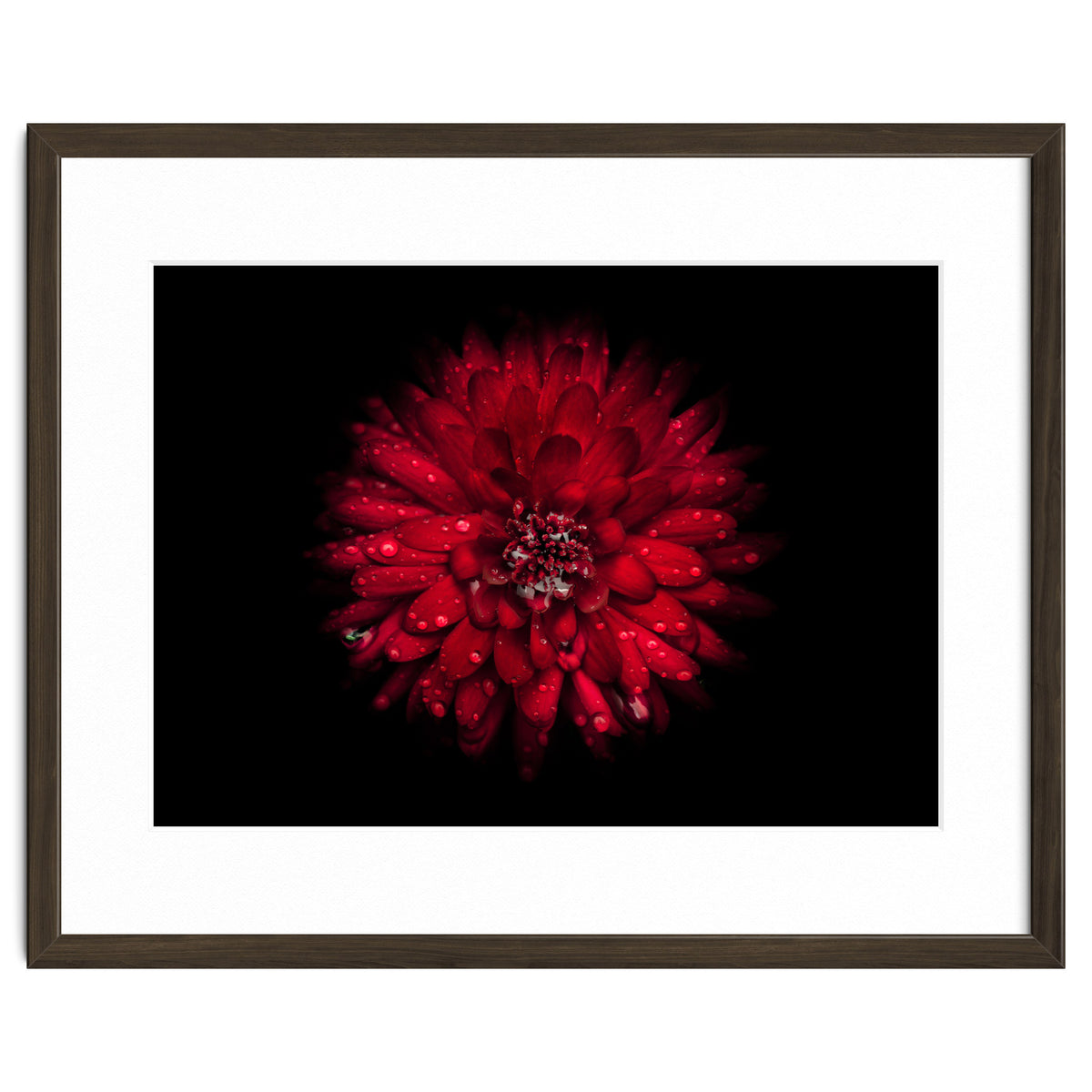 Backyard Flowers 45 Color Version