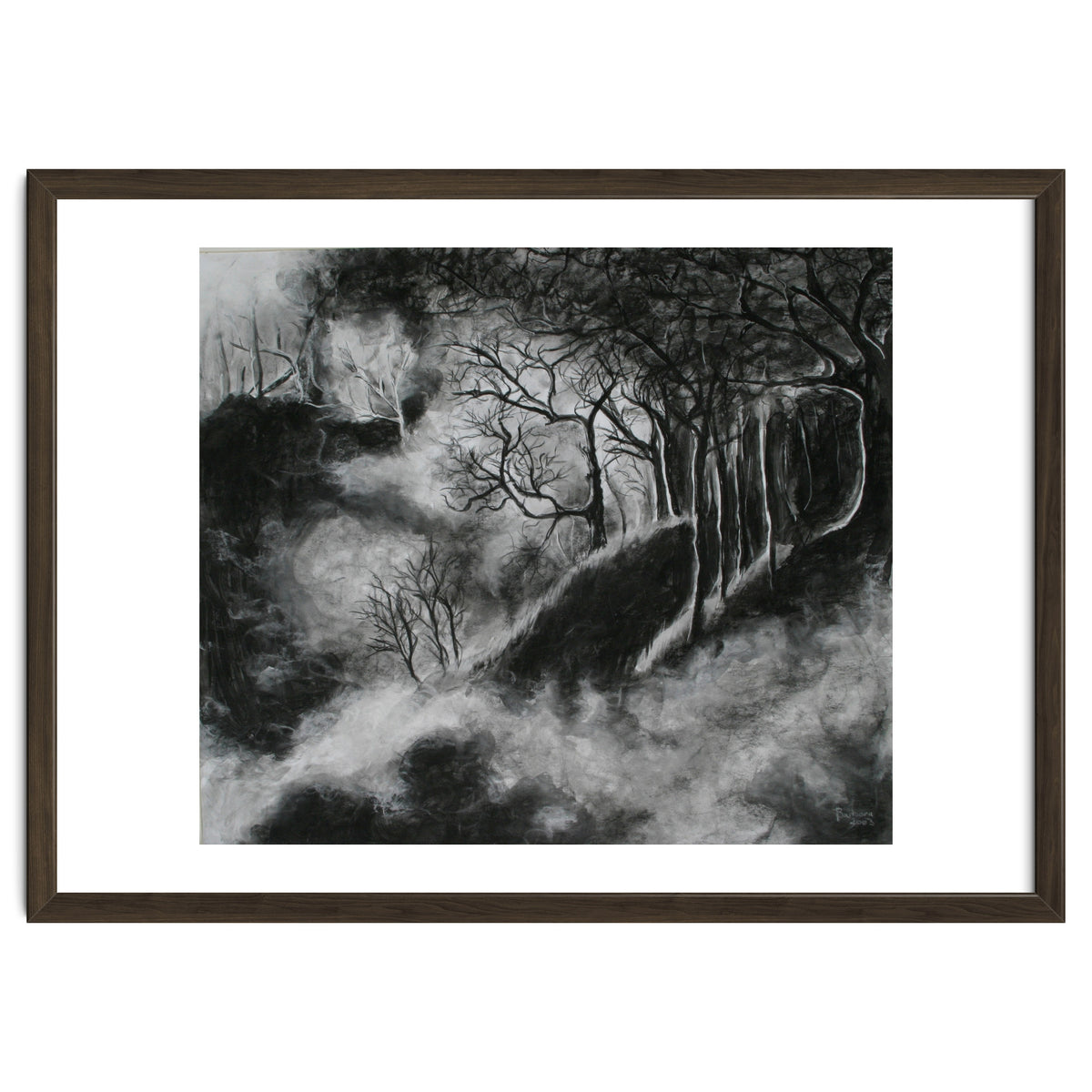 Black and White Forest in Clouds