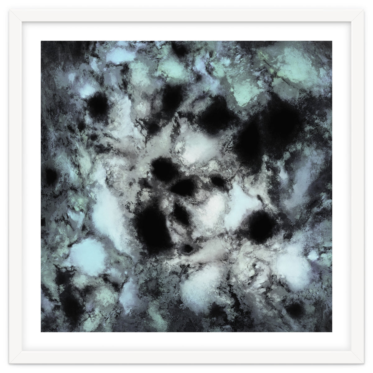 Searching For Animal Tracks