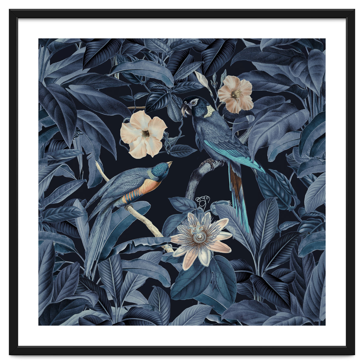 Exotic Jungle Birds At Night