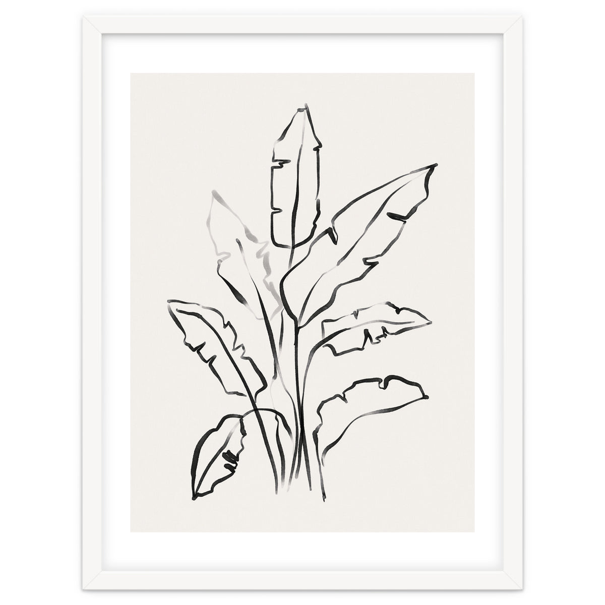 Banana Leafs Drawing