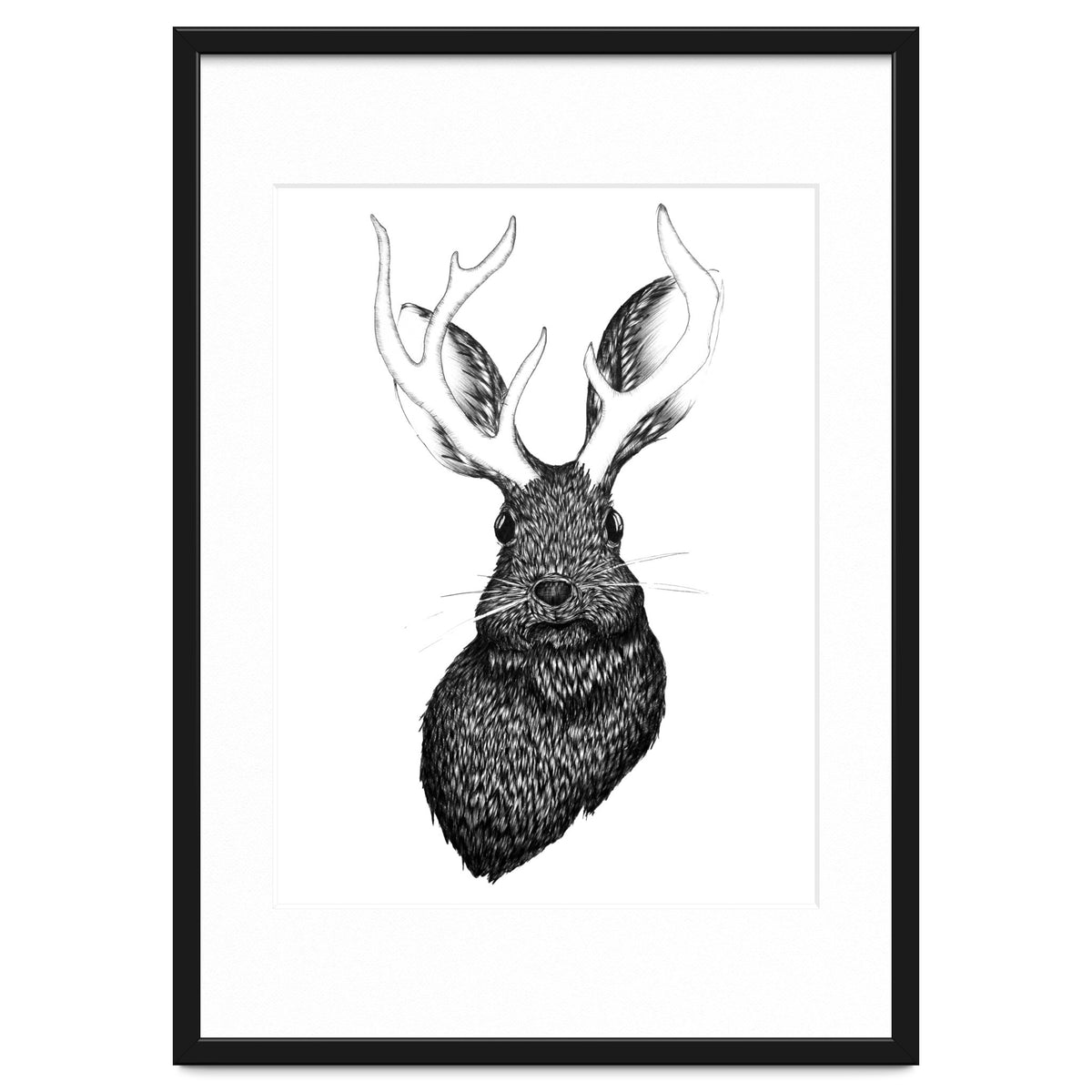 Jackalope