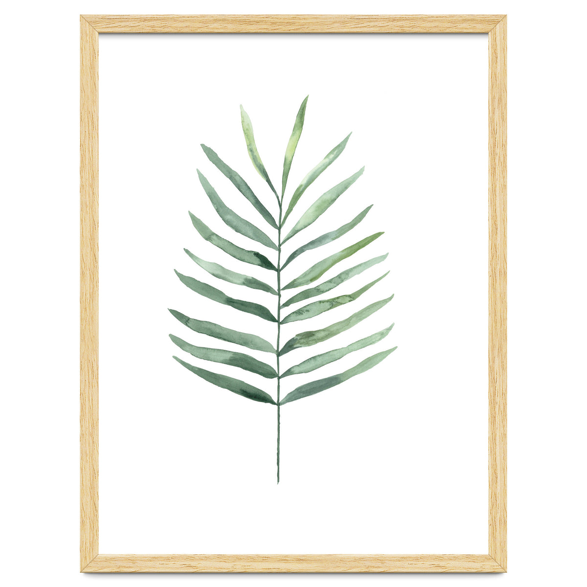 Botanical Illustration Fern