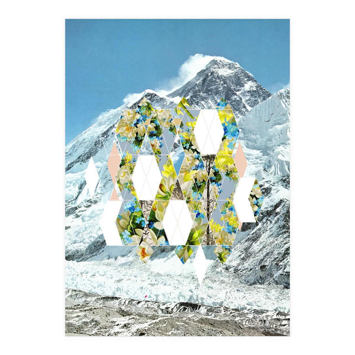 Mountain Flower (Print Only)