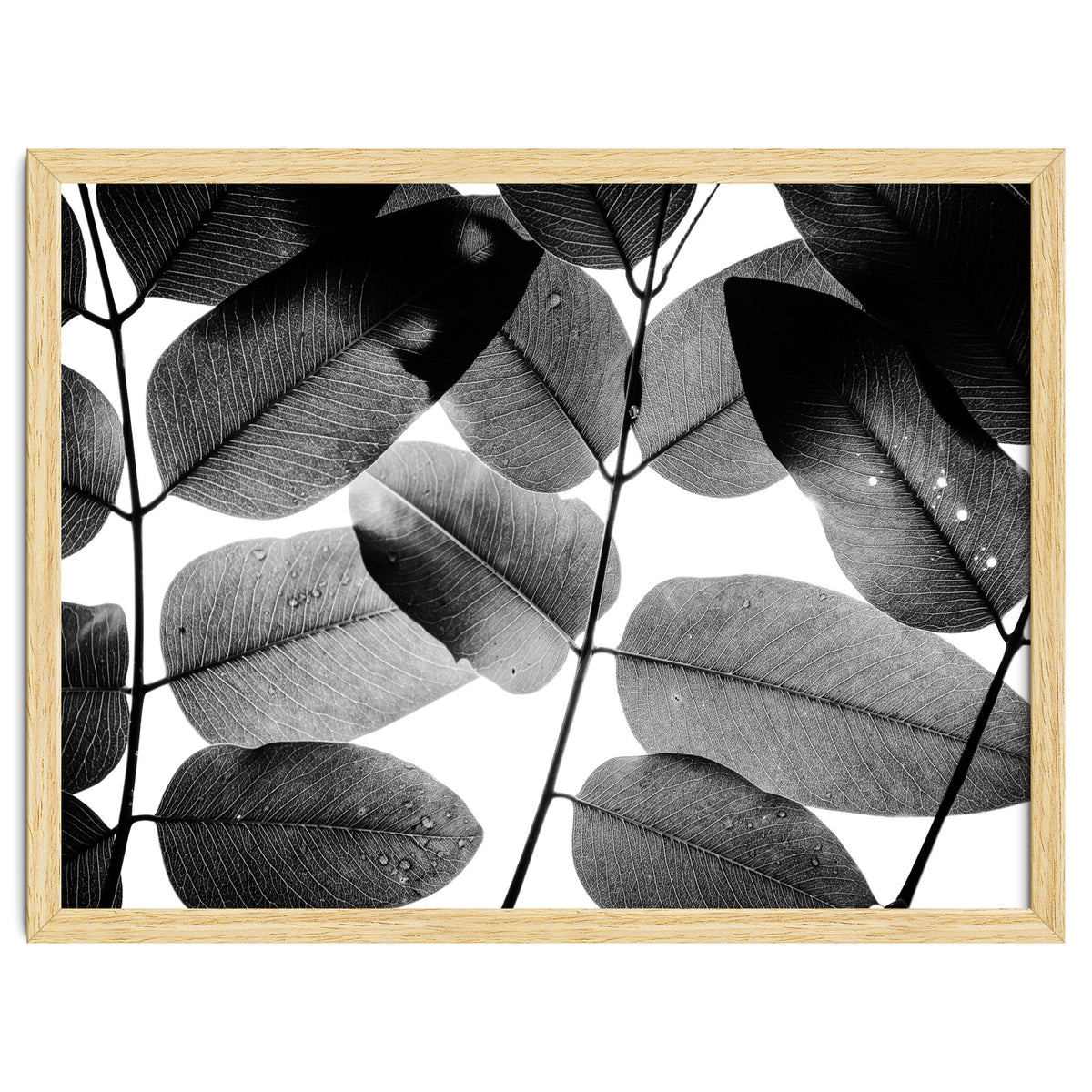 Experiments with Leaves II