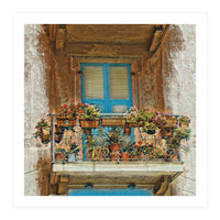 Flowered window in Venice (Print Only)