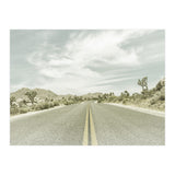 Joshua Trees, Park Boulevard | Vintage (Print Only) thumbnail
