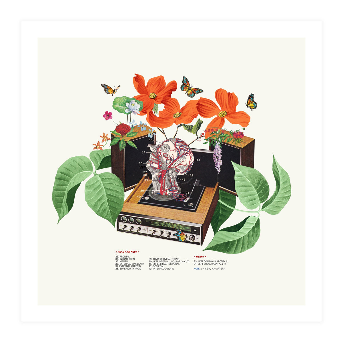 Brainwave (Print Only)