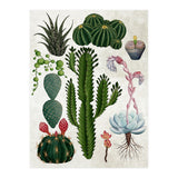 botanical (Print Only) thumbnail