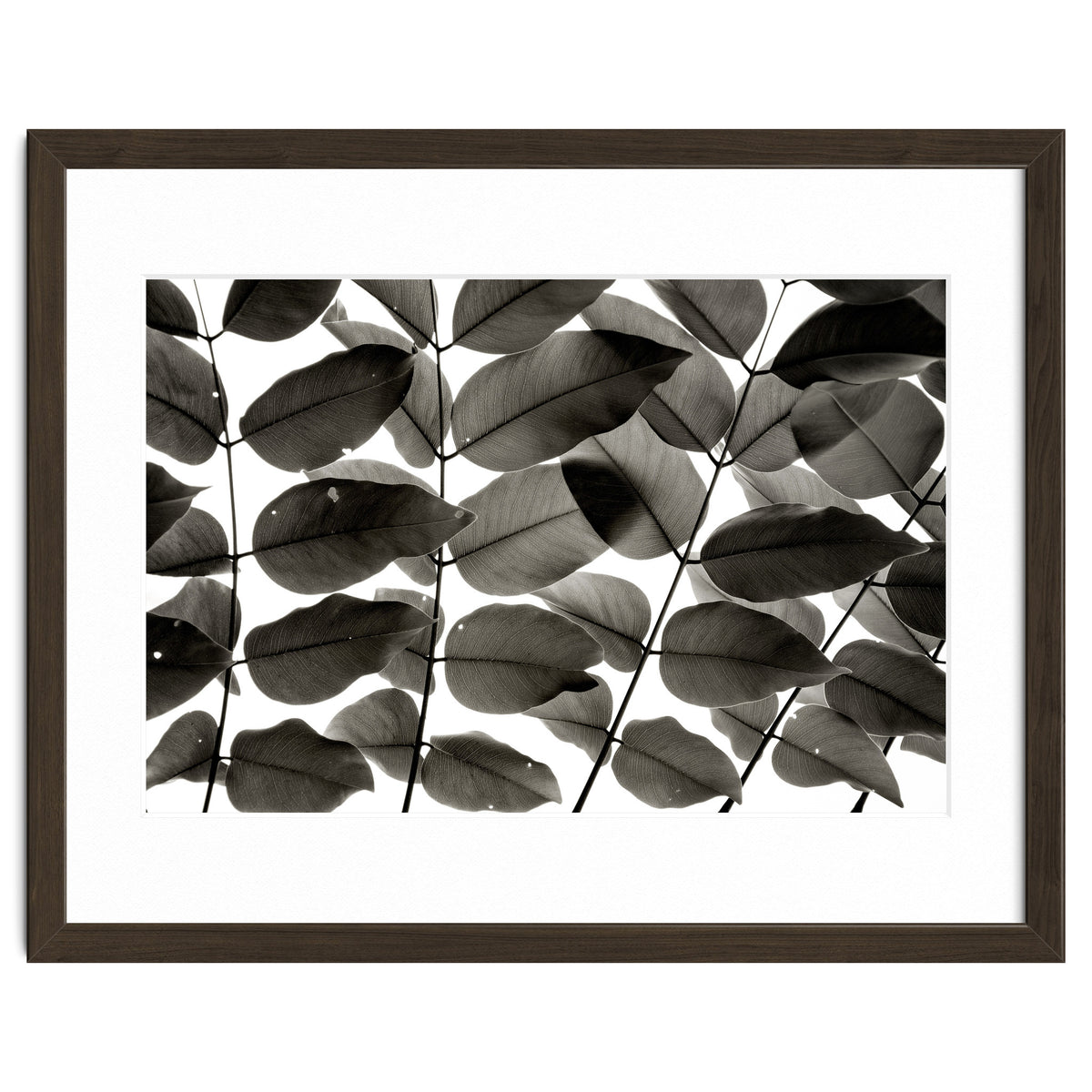 Branches and Leaves I