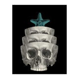 teschio (Print Only) thumbnail