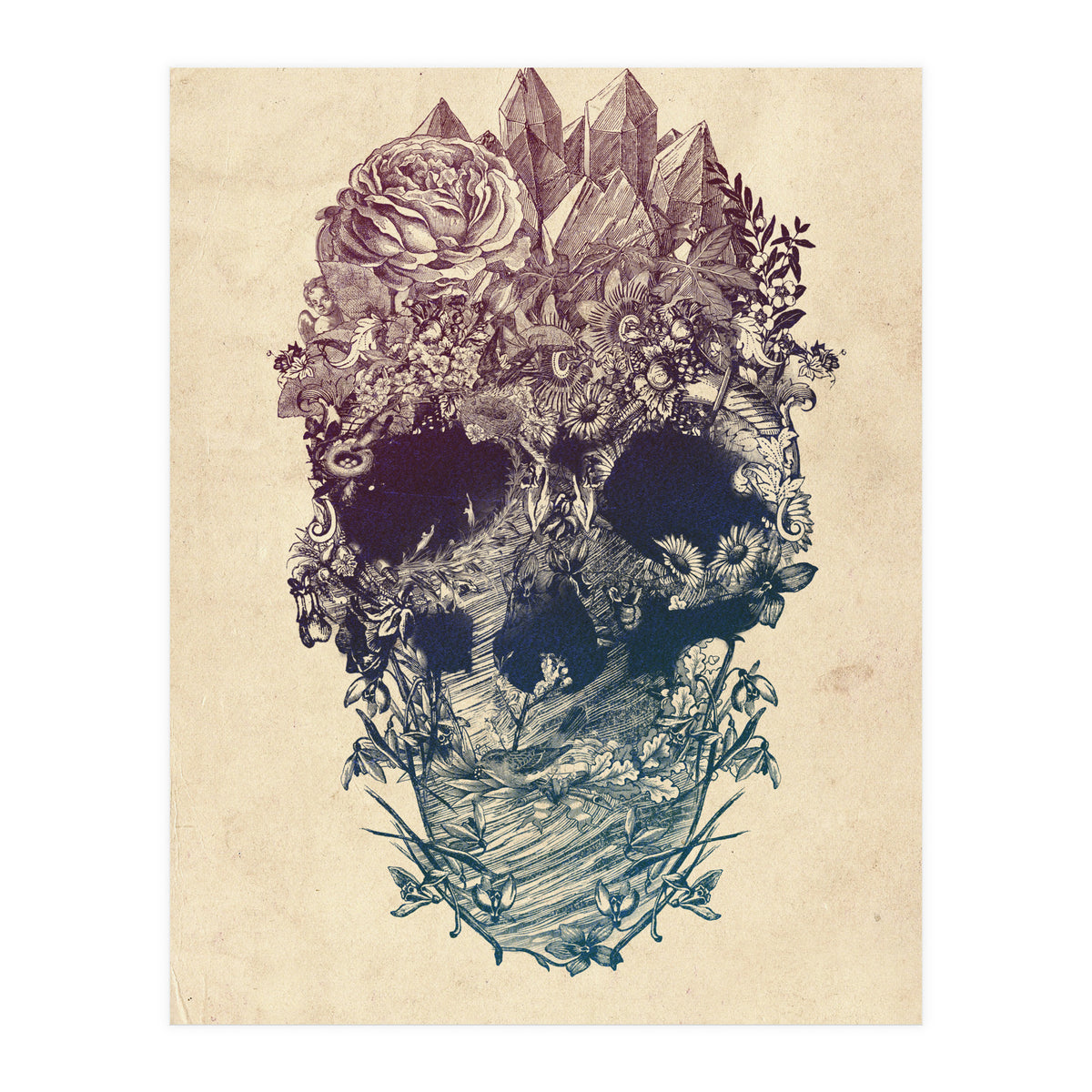 Skull Floral  (Print Only)