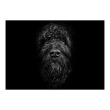 Ziggy Portrait No 2 (Print Only) thumbnail