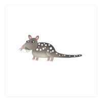 Quoll (Print Only)