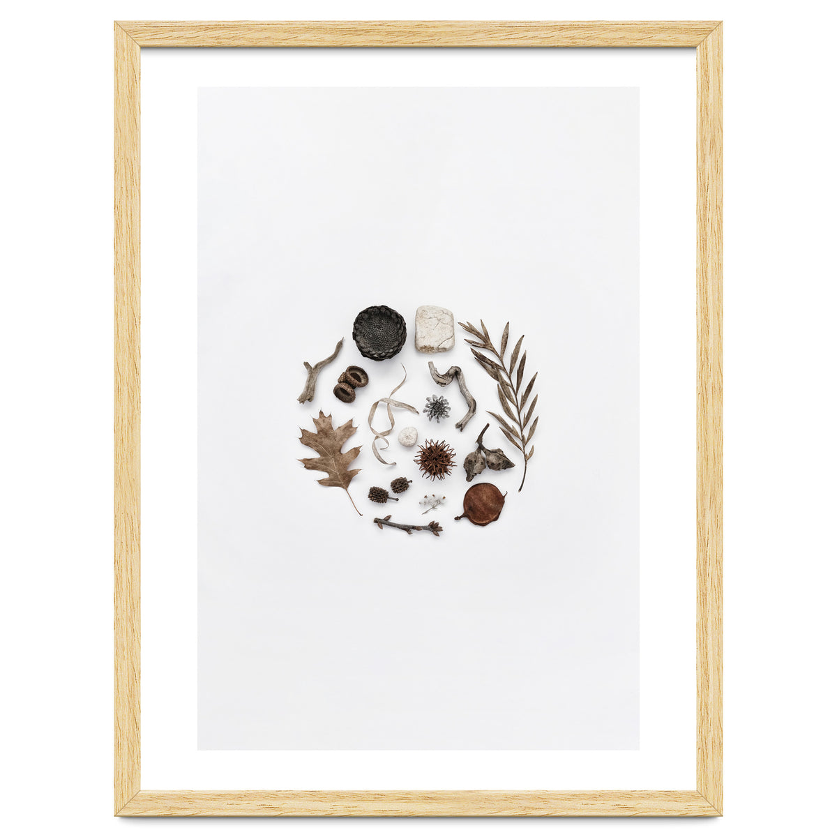 Treasures From Nature No. 2