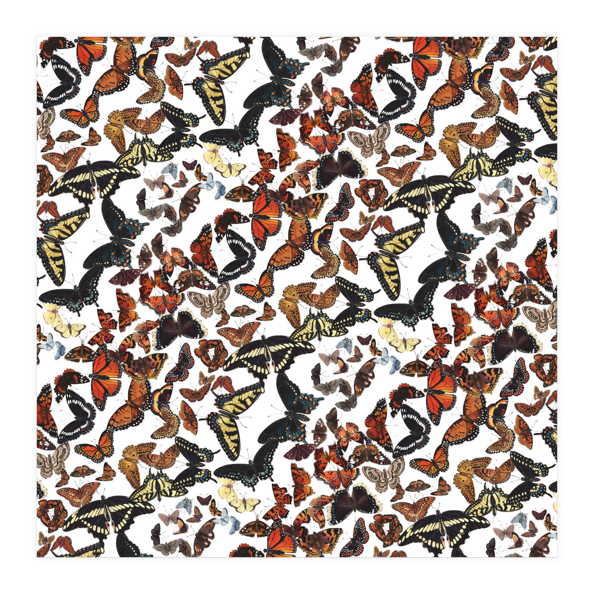 Maine Butterflies Pattern (Print Only)
