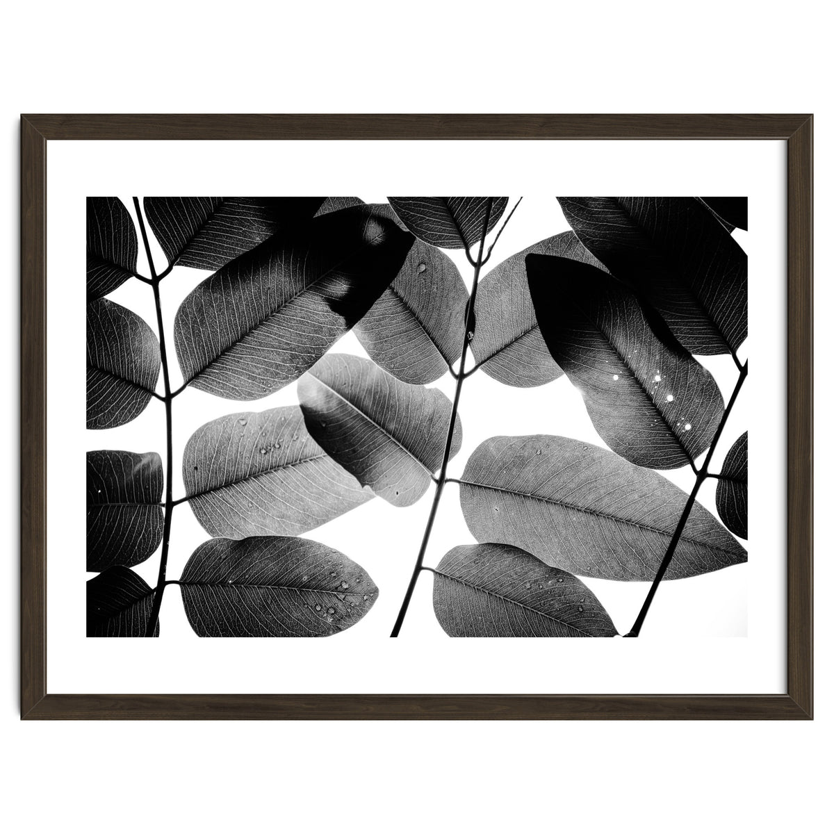 Experiments with Leaves II